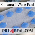 Kamagra 1 Week Pack 21